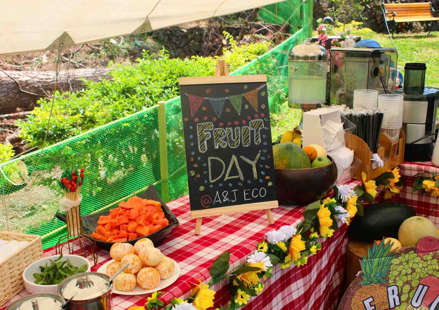 Fruit Day